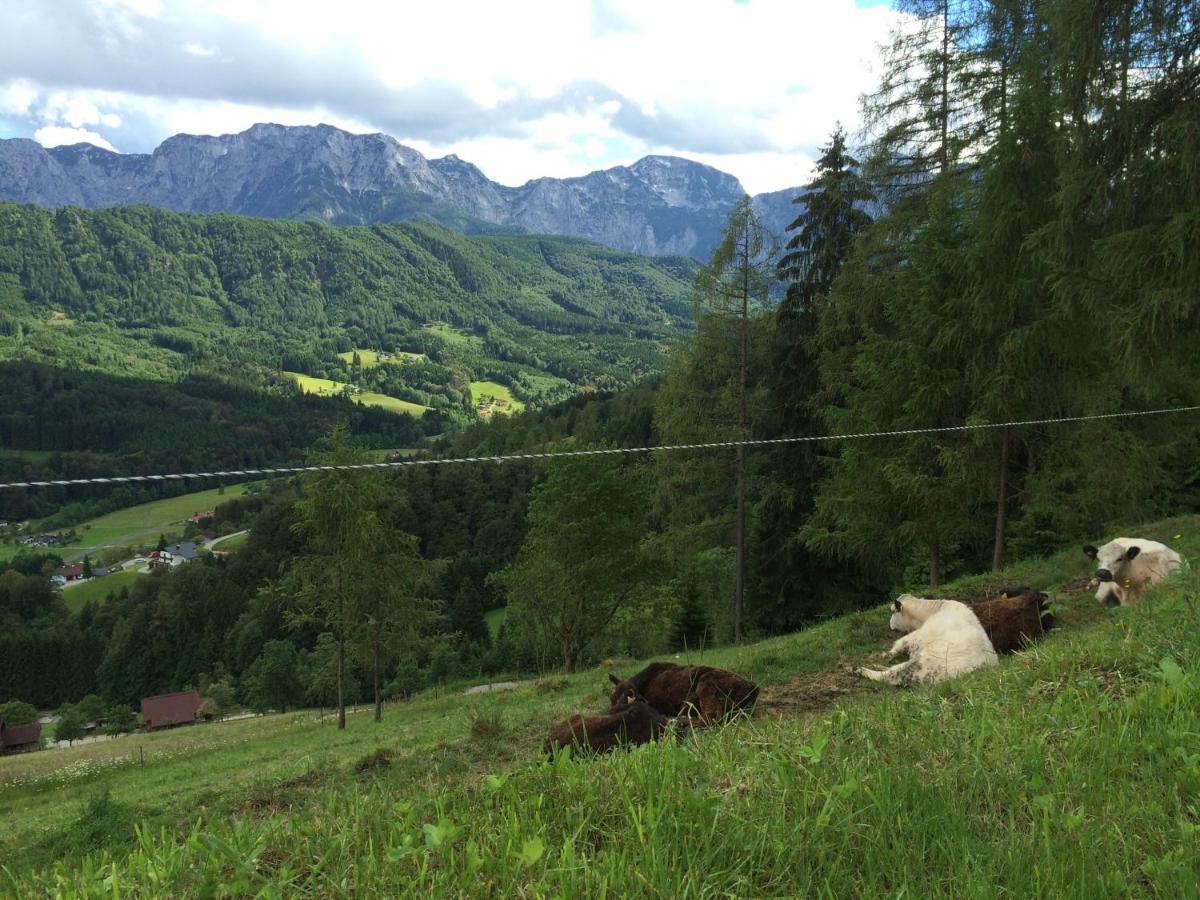 Kreitalm - Kraftplatz Im Salzkammergut Neukirchen (Altmunster) Exterior foto